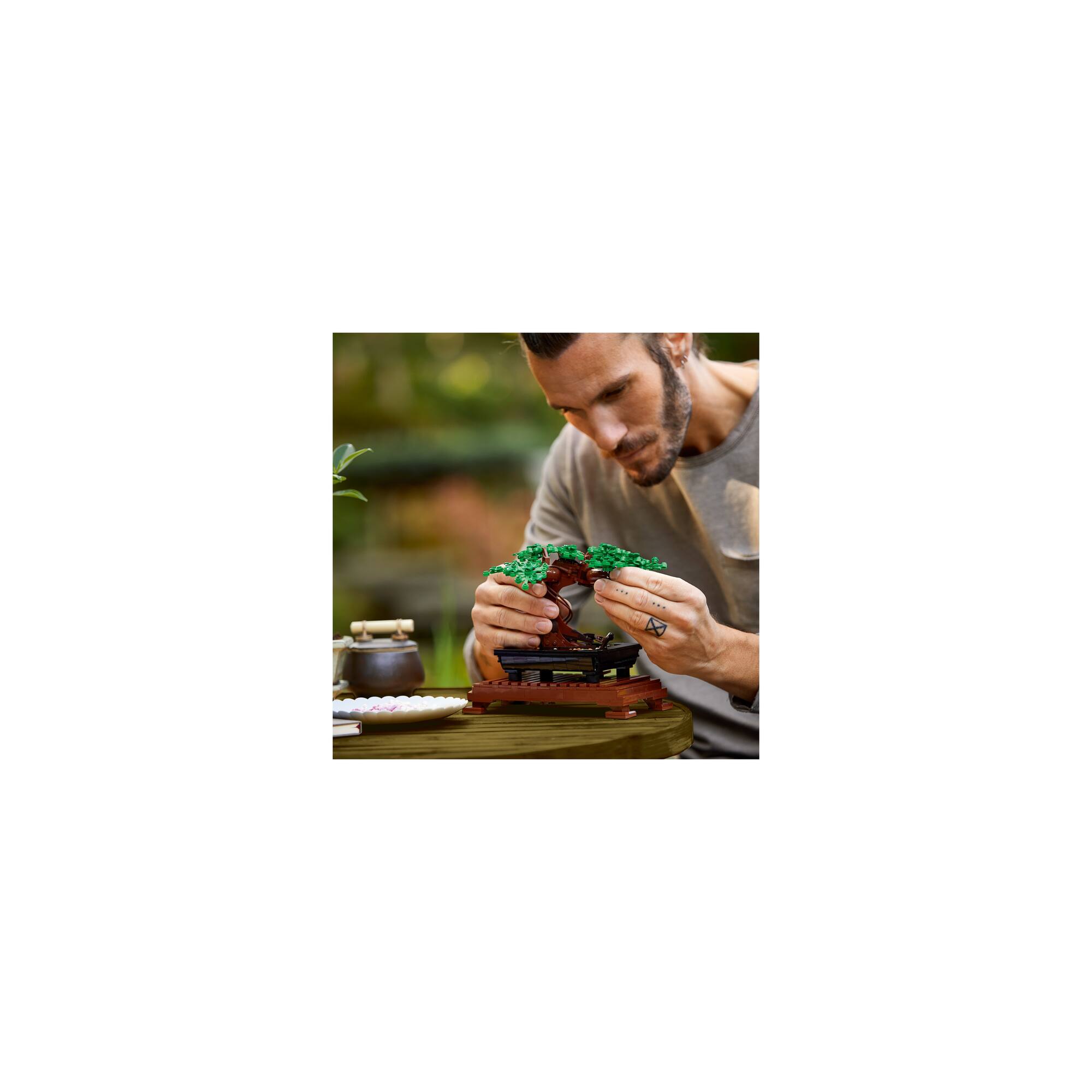 LEGO® Botanicals™ Bonsai Tree